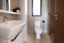 The Miltonia Residences (D27), Condominium #179776702